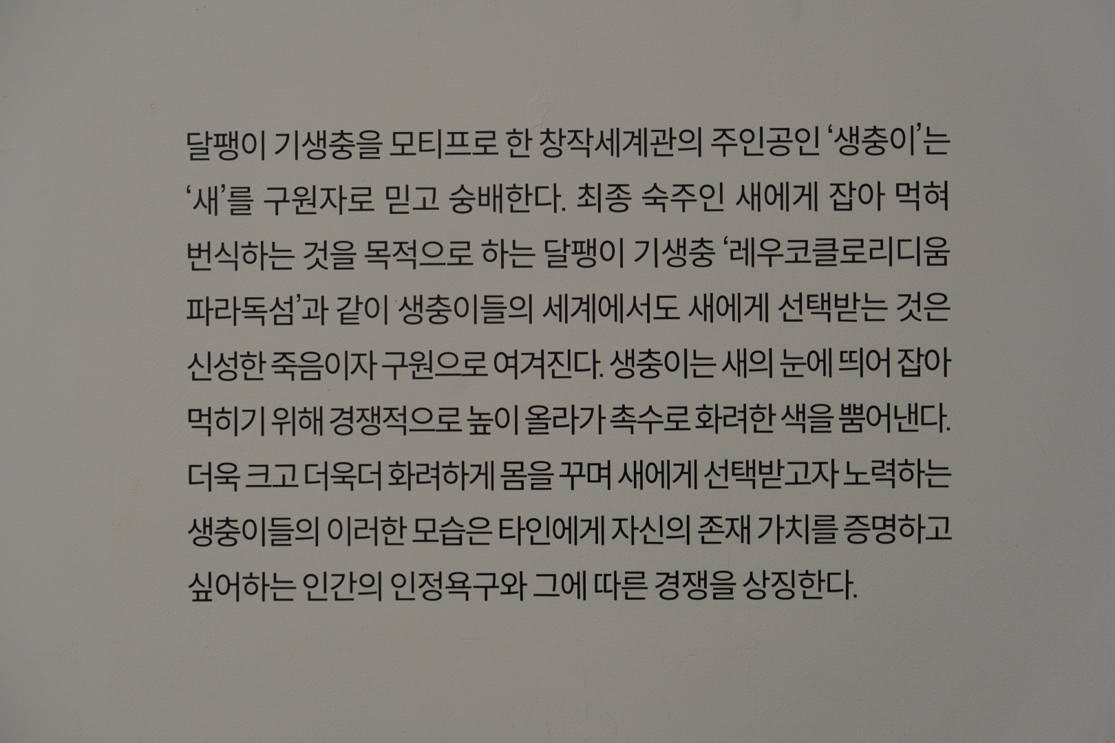 DSCF0128.JPG